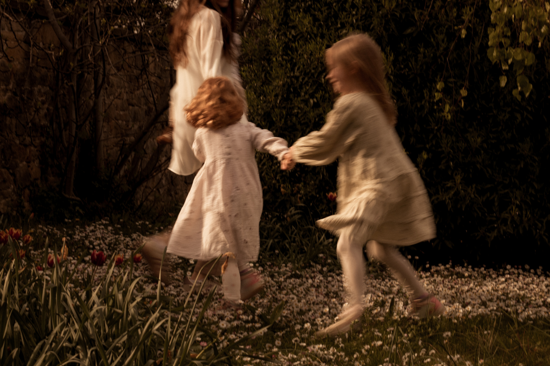 Family Fotografie